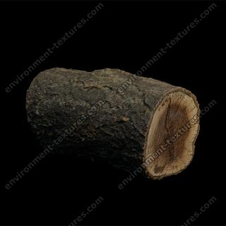 3D Scan of Tree Wood #3